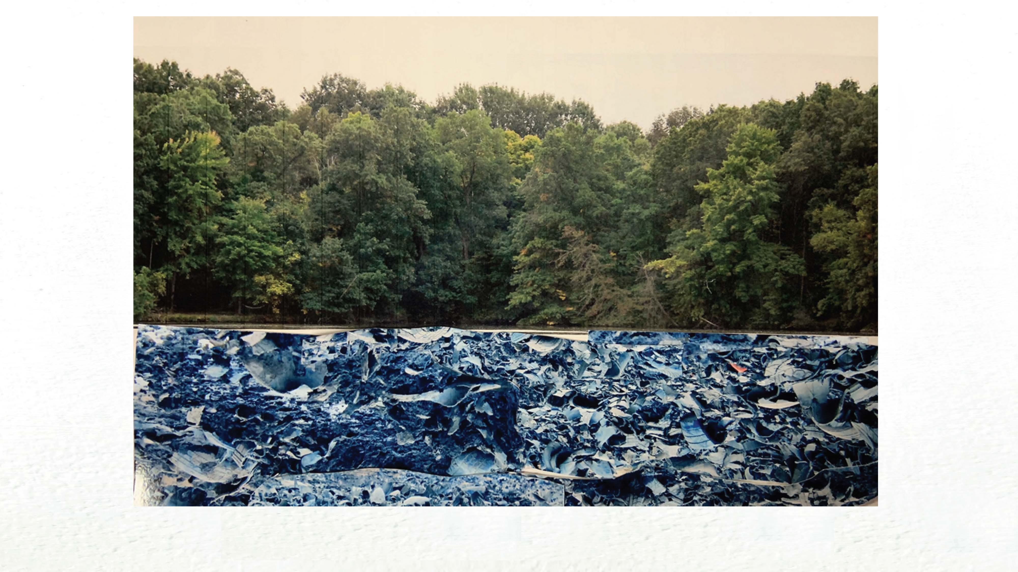 Kimberly Bryan. “Nature vs. Trash (I)”, photograph, photoshop collage, 2021.