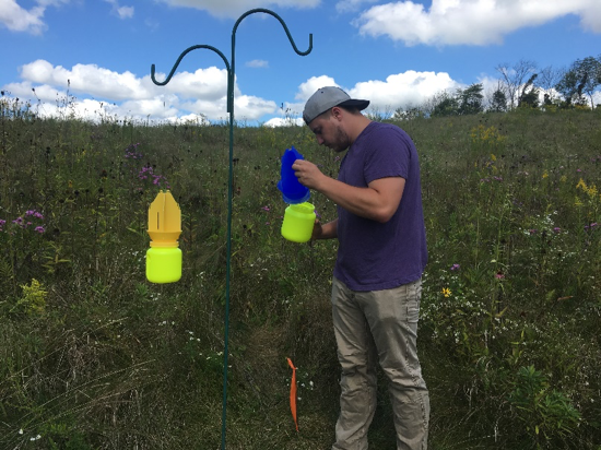 Student researcher examining bird feeder in a field.